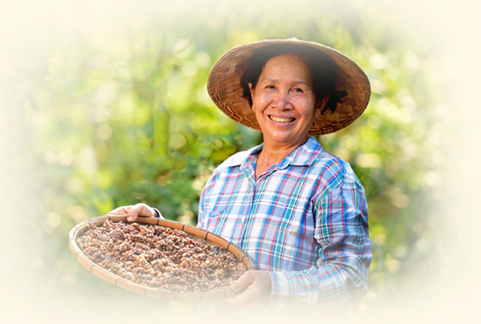 Hưởng vay ưu đãi – Vững lái kinh doanh 